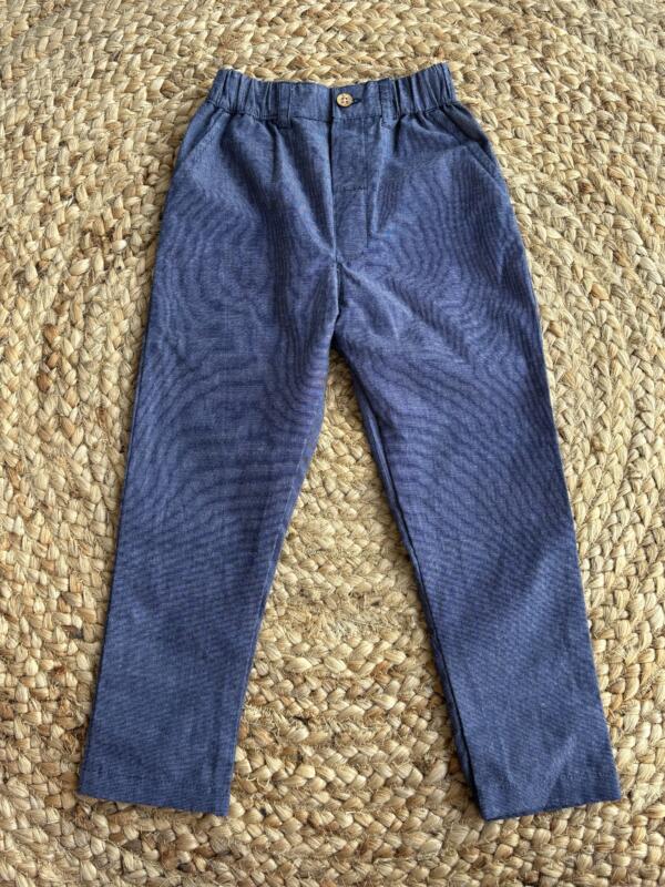 Blue Slim fit Pant